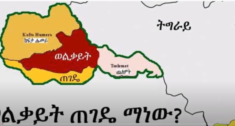 Dr Tsegaye Ararsa is discussing the case of Welkait Tegde with VOA Amharic April 26 2016